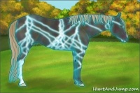 Horse Color:Thunderstruck Midnight Gold Champagne Ice 