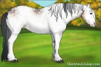 Horse Color:White Spotted Brown Ice Onyx