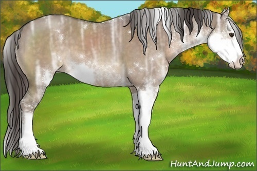 Horse Color:Liver Red Dun Ice Sabino