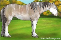 Horse Color:Liver Red Dun Ice Sabino 