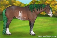 Horse Color:Painted Bay Sabino 