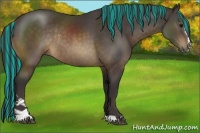 Horse Color:Painted Buckskin Sabino Rabicano