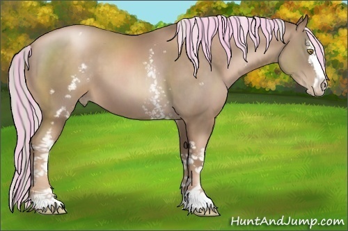 Horse Color:Painted White Spotted Liver Chestnut Pearl Sabino 