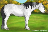 Horse Color:White Spotted Brown Chinchilla Ice Dun Brindle