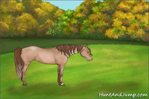 Horse Color:Brown Pearl