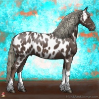Horse Color:Liver Chestnut Mushroom Tobiano Appaloosa
