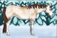 Horse Color:Brown Ice Roan Pearl Onyx Sabino 