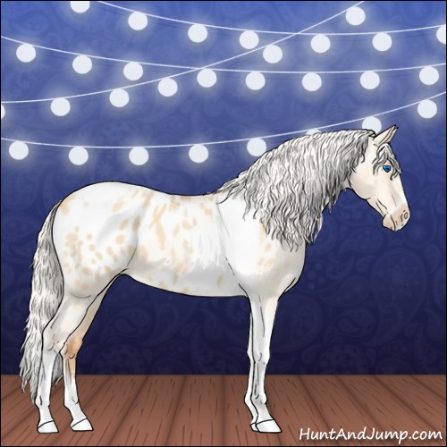 Horse Color:Silver Amber Champagne Roan Dun Splash Tobiano Frame Blanket Rabicano