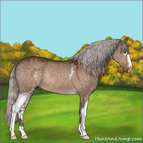 Horse Color:White Spotted Silver Bay Dun Rabicano 