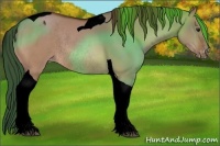 Horse Color:Void Bay Dun Tobiano Varnish Rabicano 