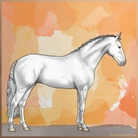 Horse Color:Gray Buckskin Splash Tobiano Rabicano 