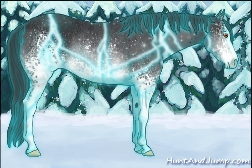 Horse Color:Thunderstruck White Spotted Brown Chinchilla Sabino Rabicano