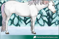 Horse Color:Nacre Palomino Splash Snowcap 