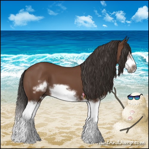 Horse Color:Bay Splash Frame