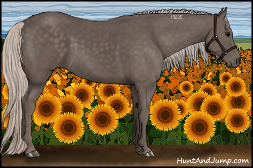 Horse Color:Silver Black 