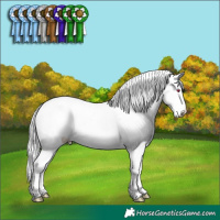 Horse Color:Platinum Midnight Chocolate Silver Smoky Creme Chinchilla Onyx Tobiano Appaloosa 