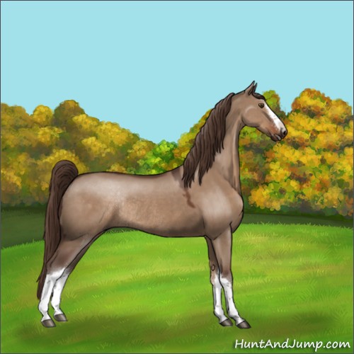 Horse Color:Liver Red Dun Rabicano