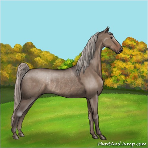 Horse Color:Silver Grullo Rabicano 
