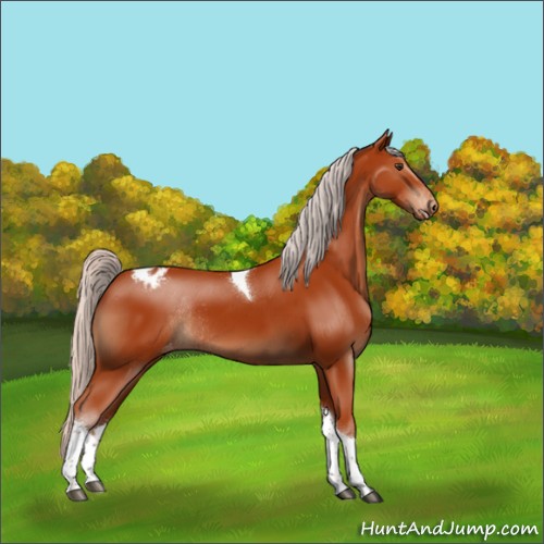 Horse Color:Silver Brown Tobiano Varnish Rabicano
