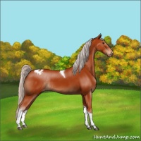 Horse Color:Silver Brown Tobiano Varnish Rabicano 