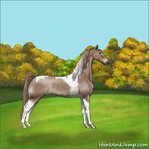 Horse Color:Liver Red Dun Tobiano Rabicano 