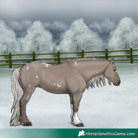 Horse Color:White Spotted Silver Grullo Tobiano 