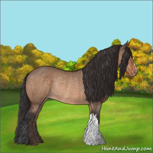 Horse Color:Brown Dun Appaloosa Rabicano 