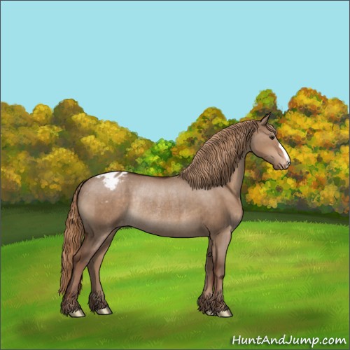 Horse Color:Liver Red Dun Appaloosa Rabicano