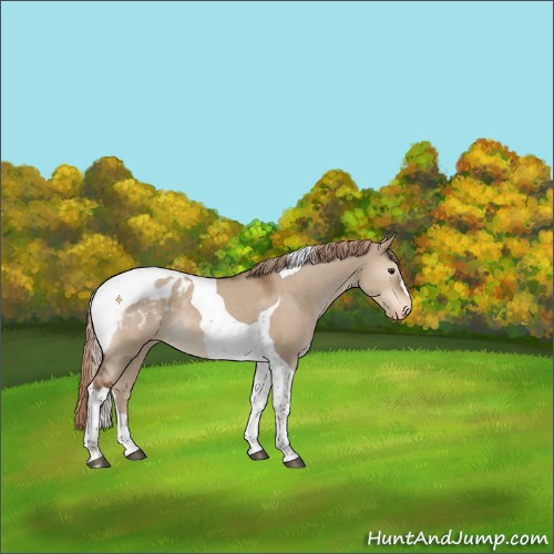 Horse Color:Liver Red Dun Tobiano Varnish