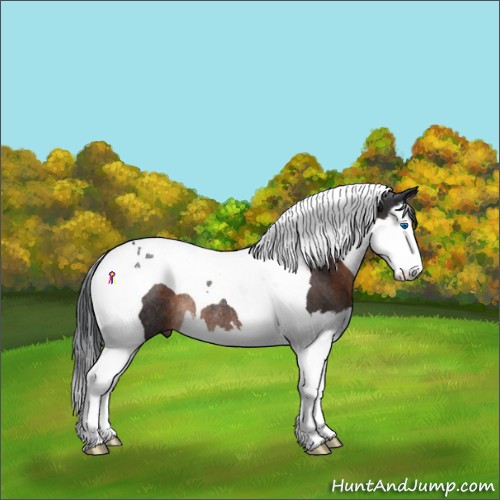 Horse Color:Brown Splash Tobiano Rabicano 
