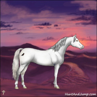 Horse Color:Gray Silver Smoky Grullo Rabicano 