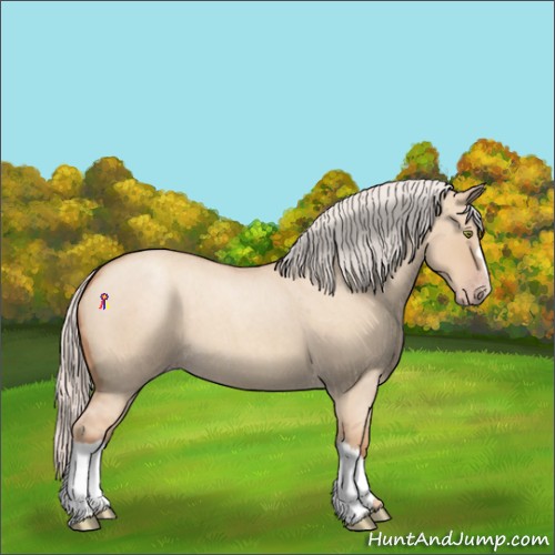 Horse Color:Chocolate Silver Classic Champagne Roan Dun 