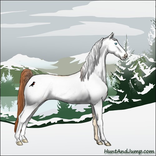 Horse Color:White Spotted Buckskin Pearl Dun Rabicano 