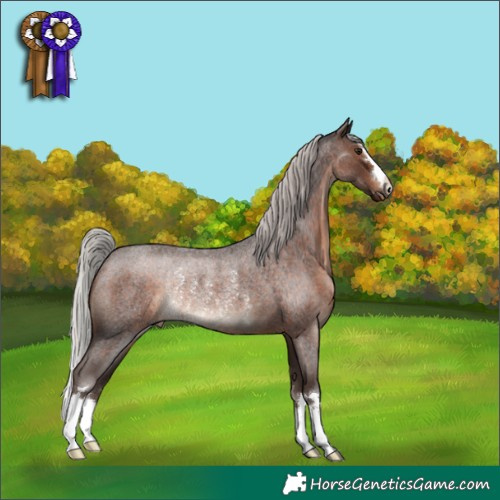 Horse Color:Silver Brown Roan Rabicano 