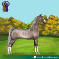 Horse Color:Silver Brown Roan Rabicano 