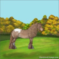 Horse Color:Liver Red Dun Snowcap