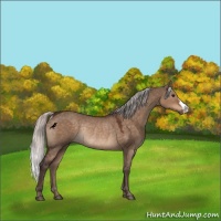 Horse Color:Silver Brown Dun Rabicano 