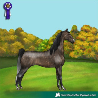 Horse Color:Brown Dun Rabicano Brindle and Gray Brown Dun