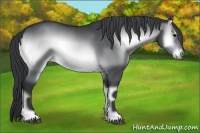 Horse Color:Brown Chinchilla Onyx 