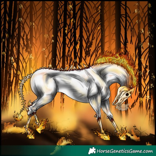 Horse Color:Chocolate Amber Cream Champagne Appaloosa Rabicano