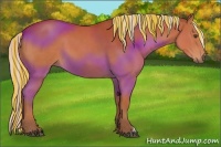 Horse Color:Painted Silver Bay 