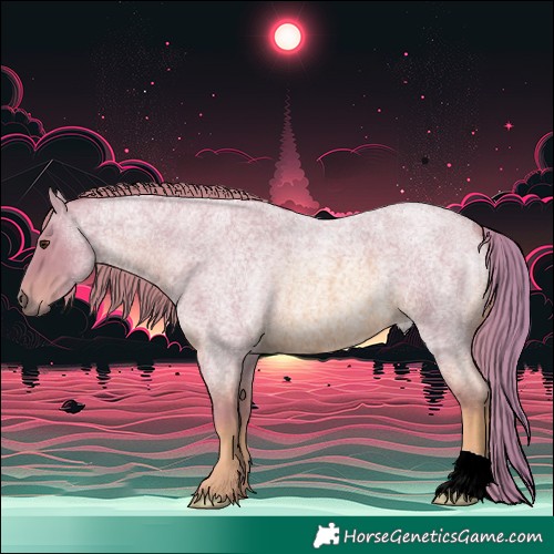 Horse Color:Watercolor Red Roan 