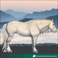Horse Color:Silver Buckskin Roan Onyx 