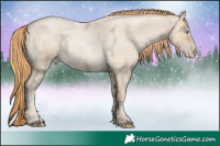 Horse Color:Buckskin Ice Roan Pearl