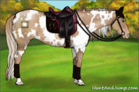 Horse Color:White Spotted Liver Chestnut Pearl 