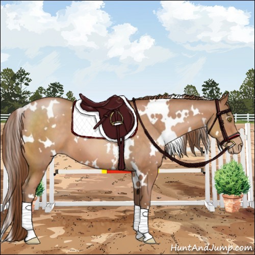 Horse Color:White Spotted Brown Pearl 