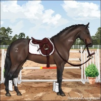 Horse Color:Brown 