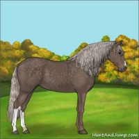 Horse Color:Silver Black 