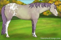 Horse Color:Watercolor Black Pearl Sabino Appaloosa 