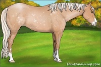 Horse Color:Silver Brown Pearl Sabino 